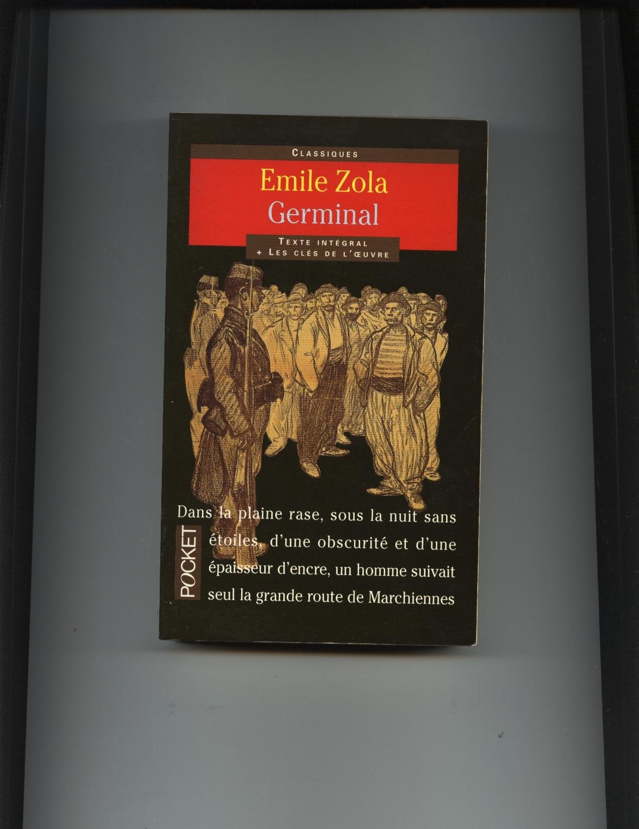 Germinal 9782266082624