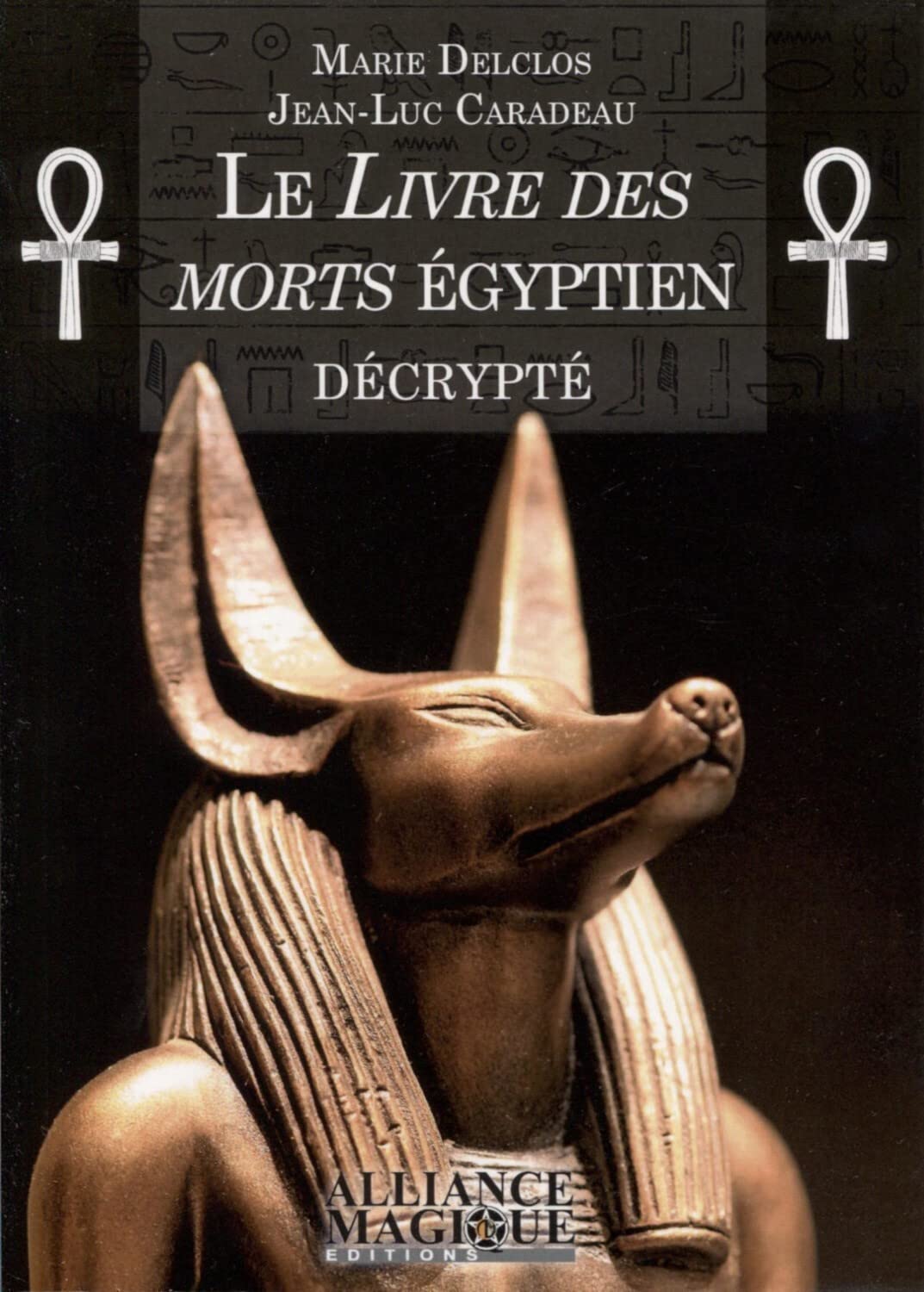 Le Livre des Morts égyptien décrypté 9782367360201