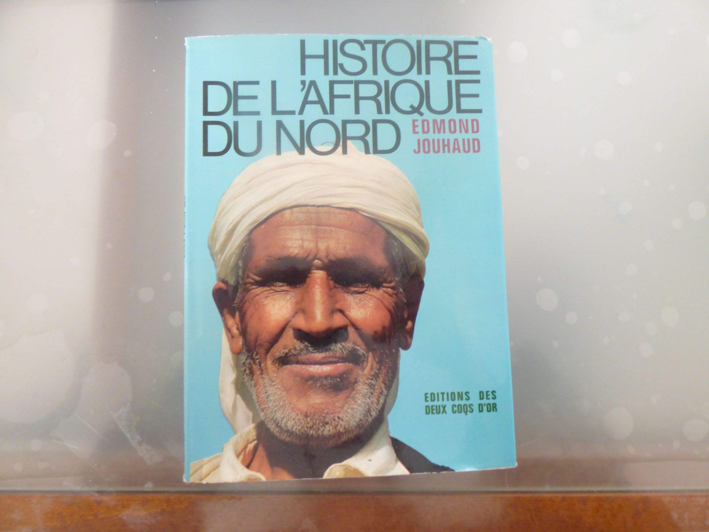 Histoire de l'Afrique du Nord 