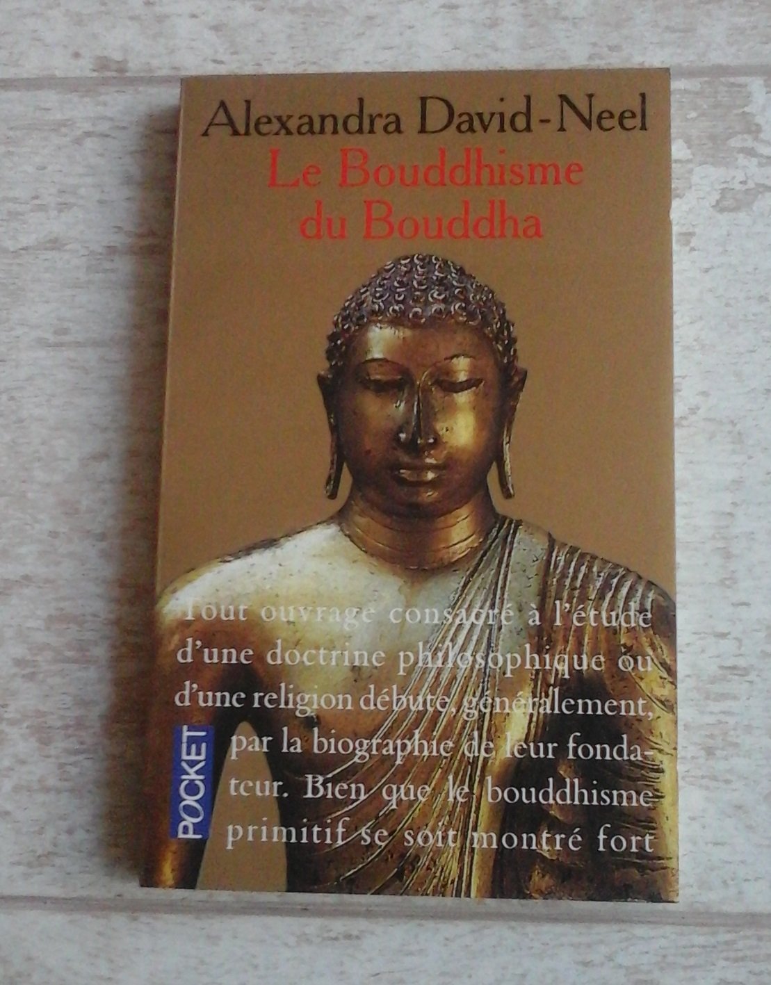 Le bouddhisme du Bouddha: Ses doctrines, ses méthodes et ses développements mahayanistes et tantriques au Tibet 9782266056359
