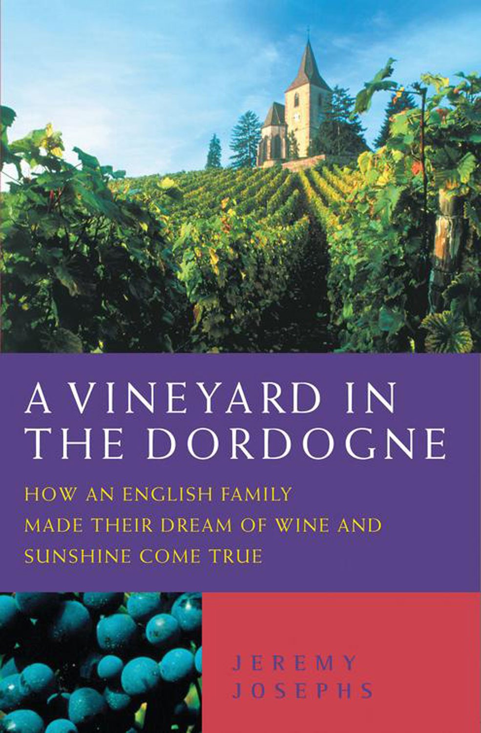 A Vineyard in the Dordogne: How an English Family Made Their Dream of Wine and Sunshine Come True 9781843580188
