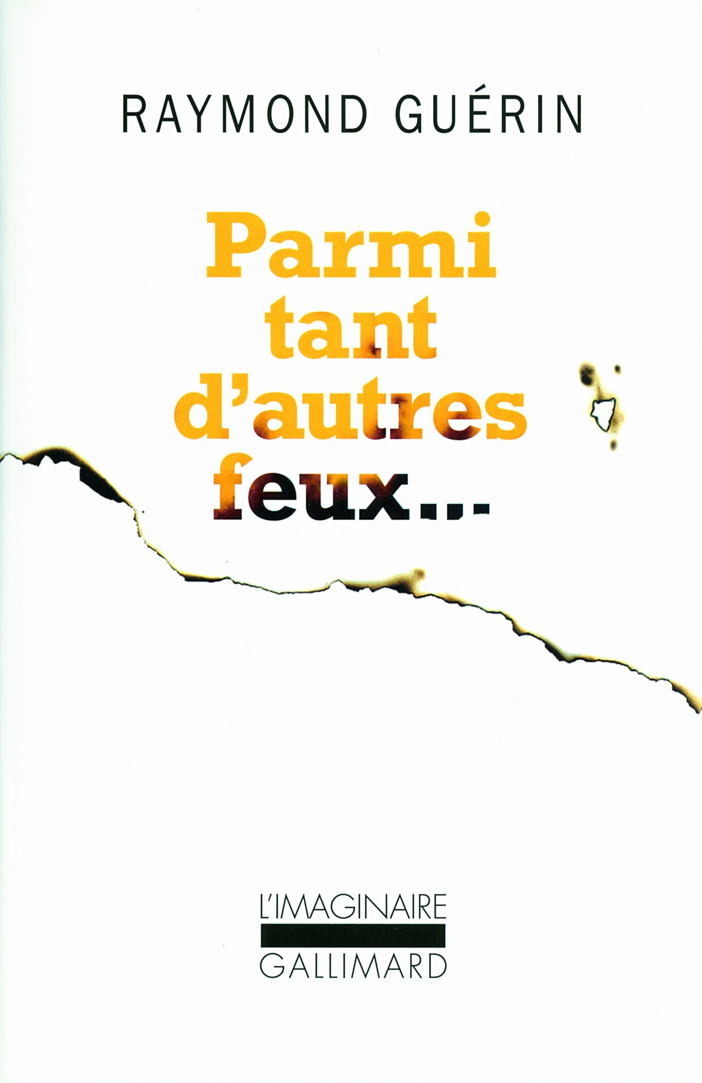 Parmi tant d'autres feux... 9782070254385