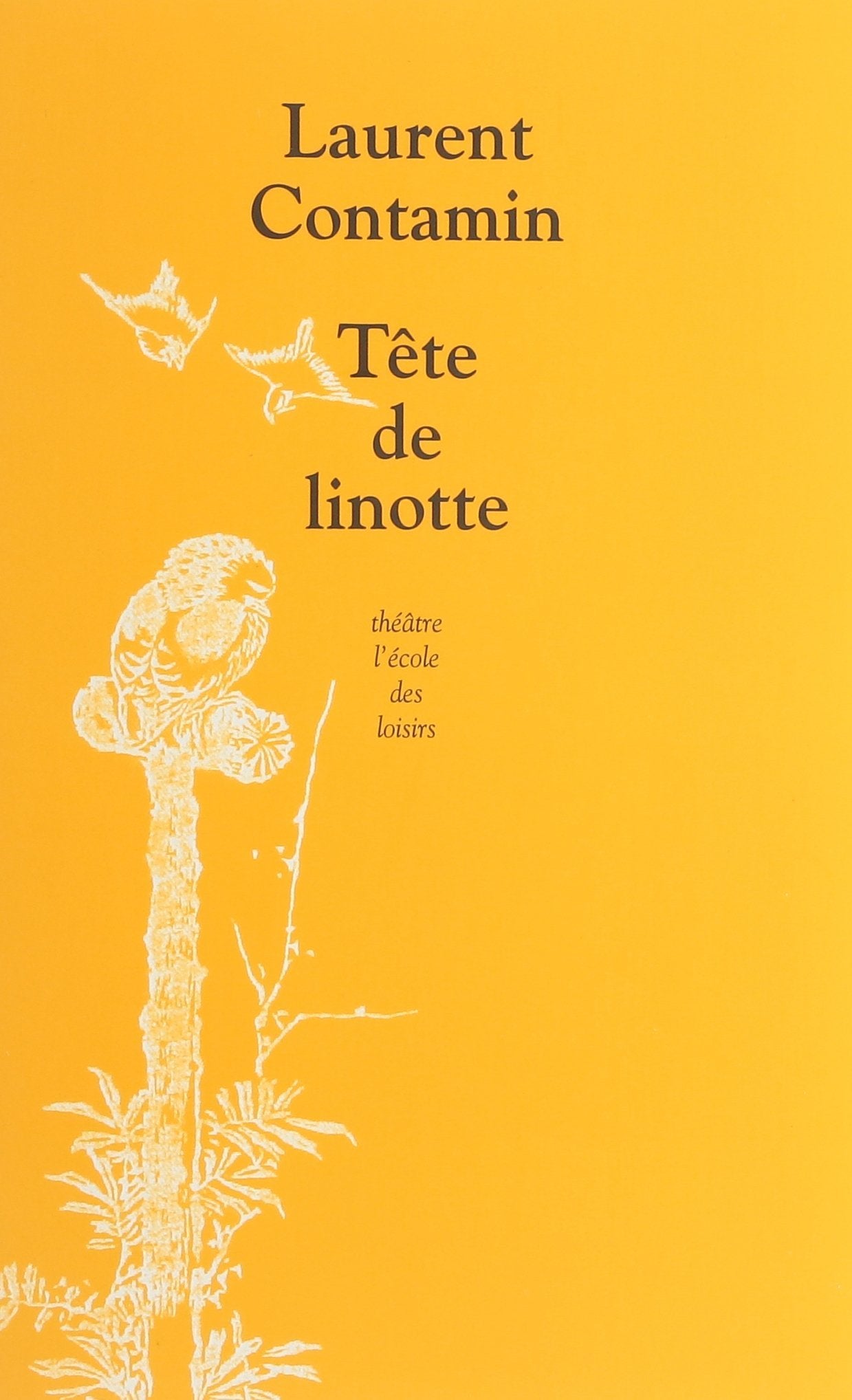 Tête de linotte 9782211226424
