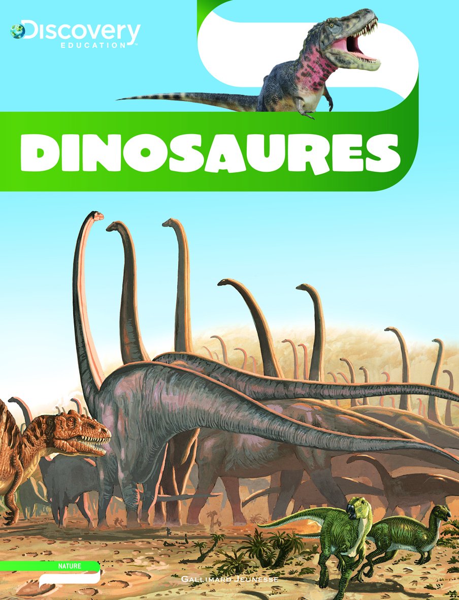 Dinosaures 9782070641444