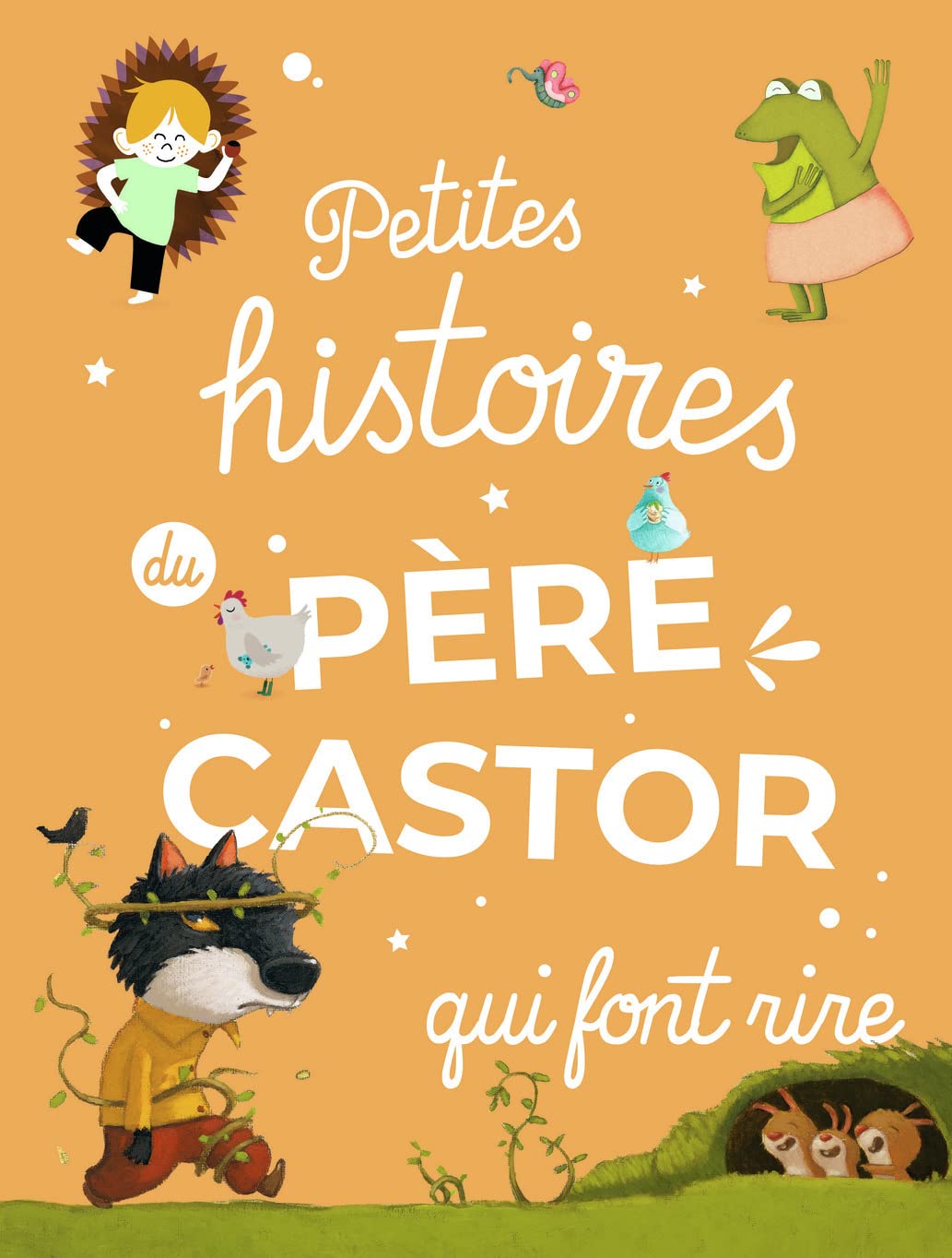 Petites histoires du Père Castor qui font rire 9782081469068