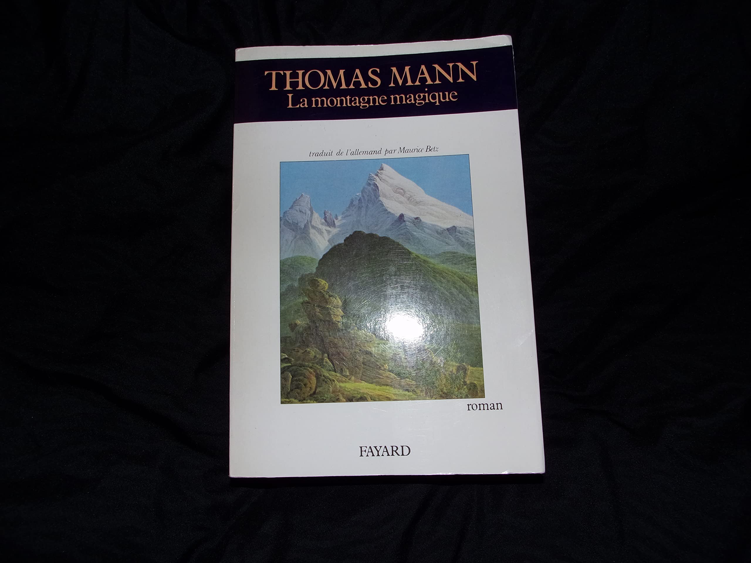 La Montagne magique 9782213016115