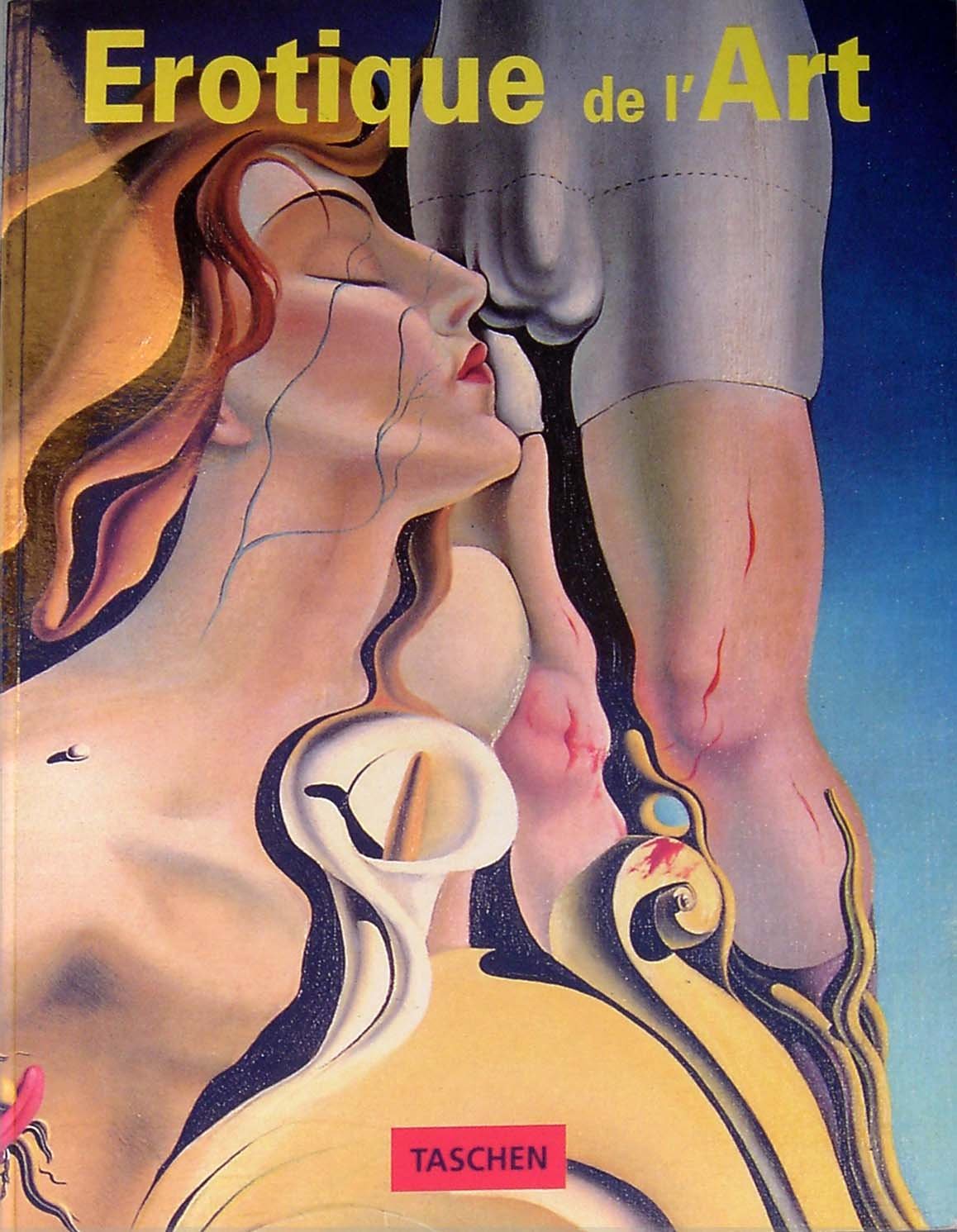 erotique de l'art 9783822873380
