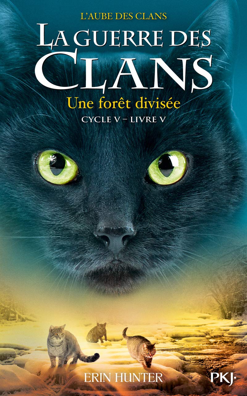 La guerre des Clans, cycle V - tome 05 : Une forêt divisée (5) 9782266294249