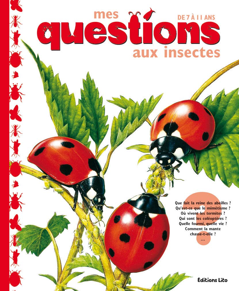 Mes Questions aux insectes : Documentaire - Dès 7 ans 9782244410227