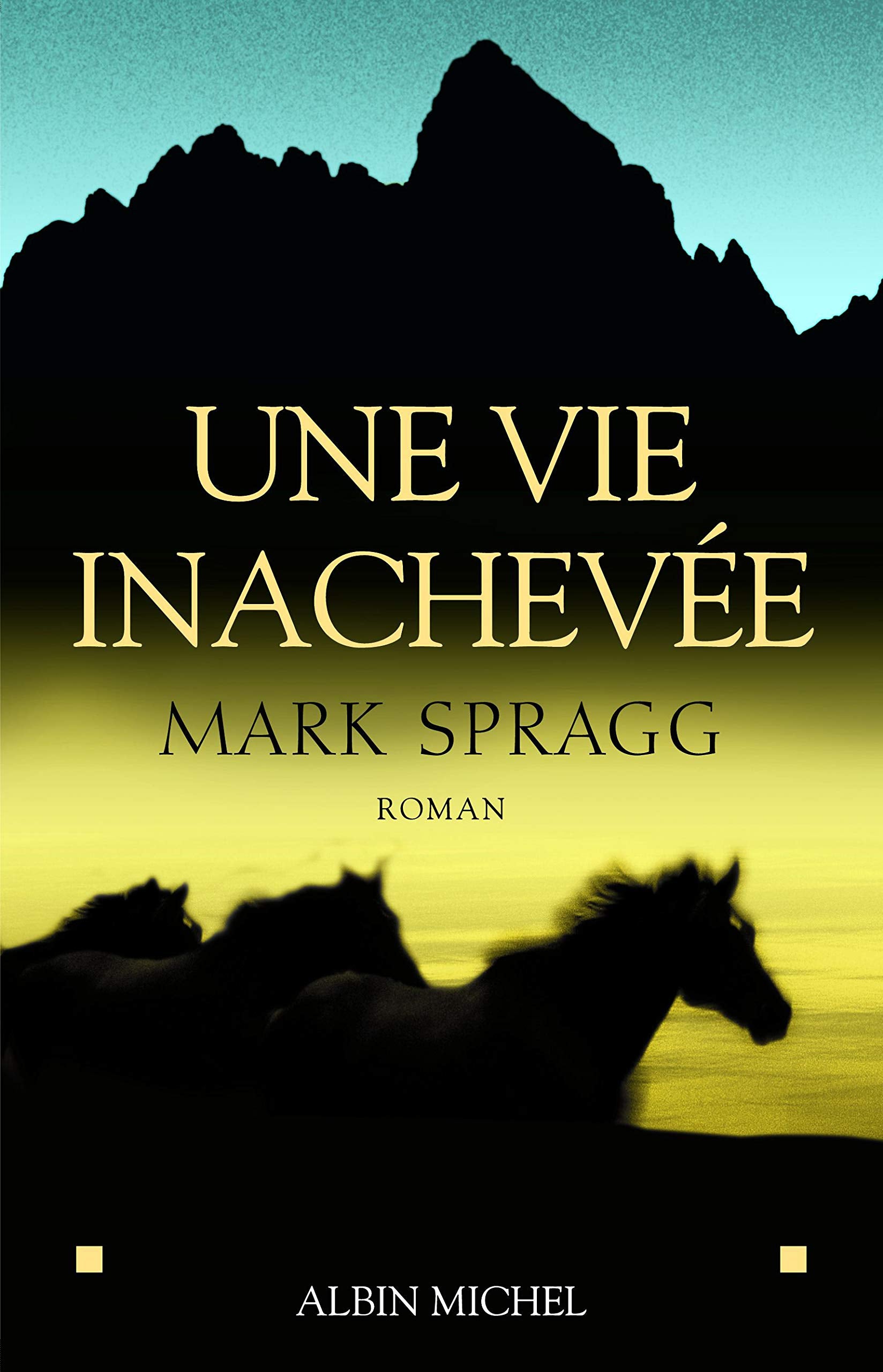 Une vie inachevée 9782226156860