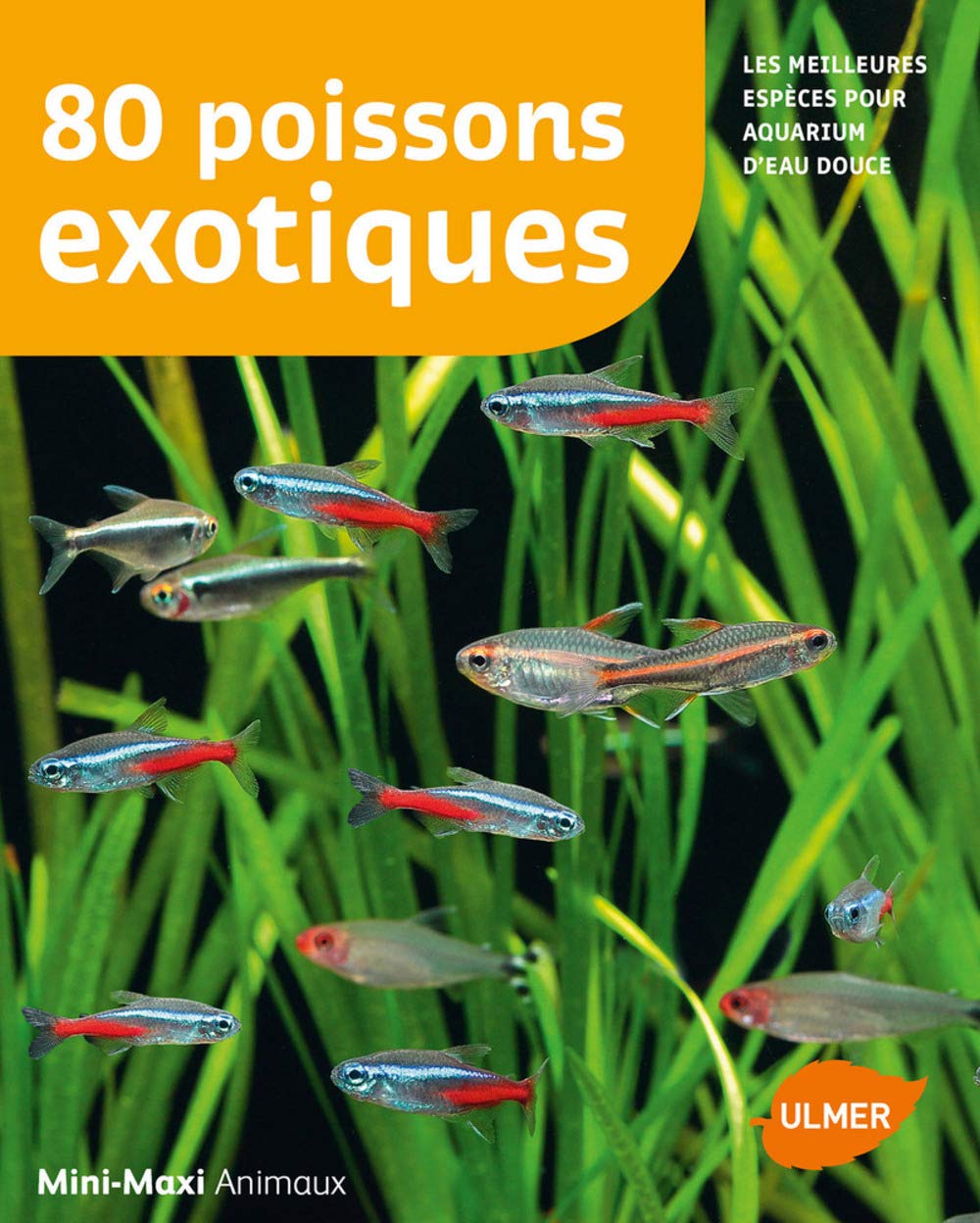 80 poissons exotiques 9782841389933