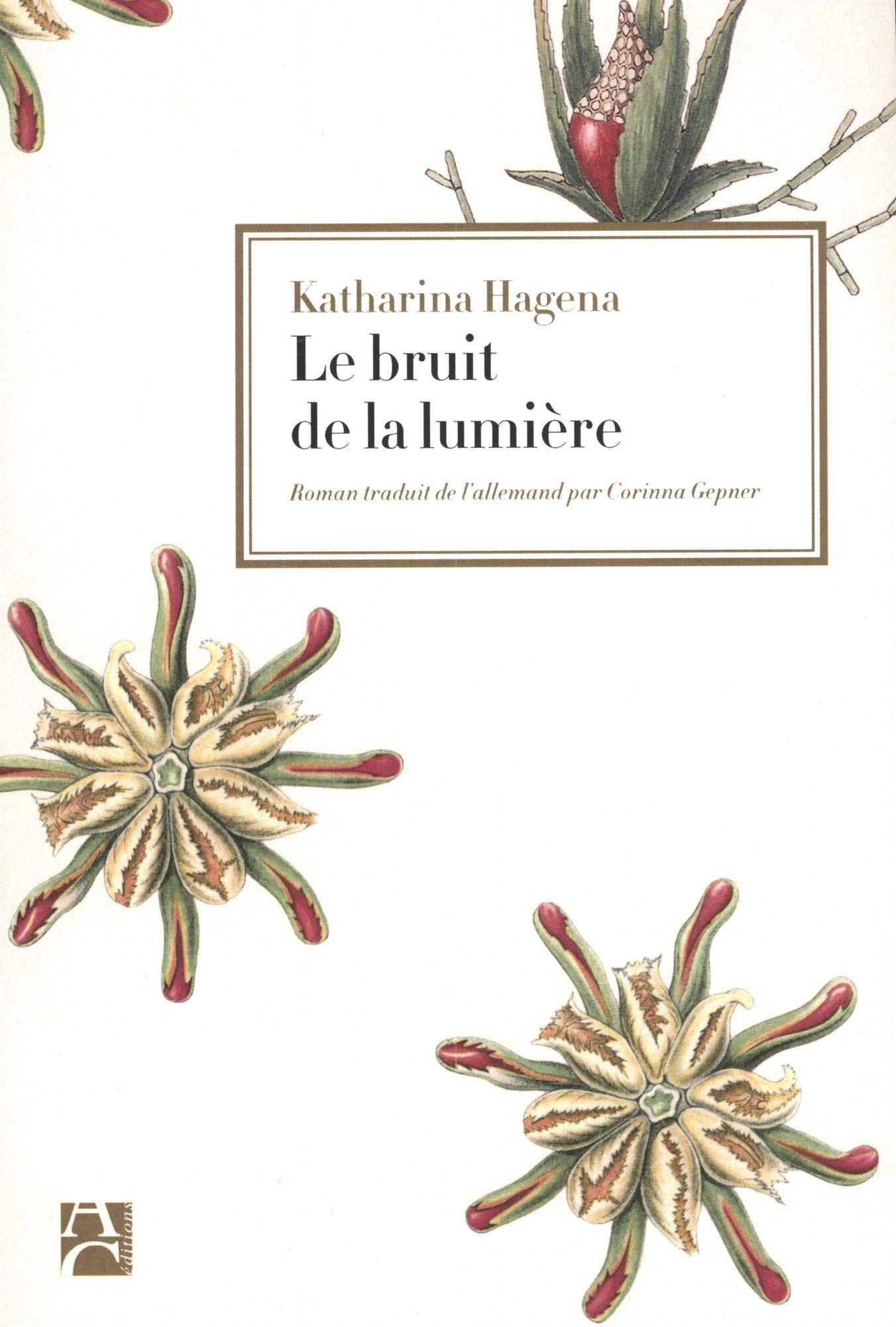 Le bruit de la lumière 9782843378836