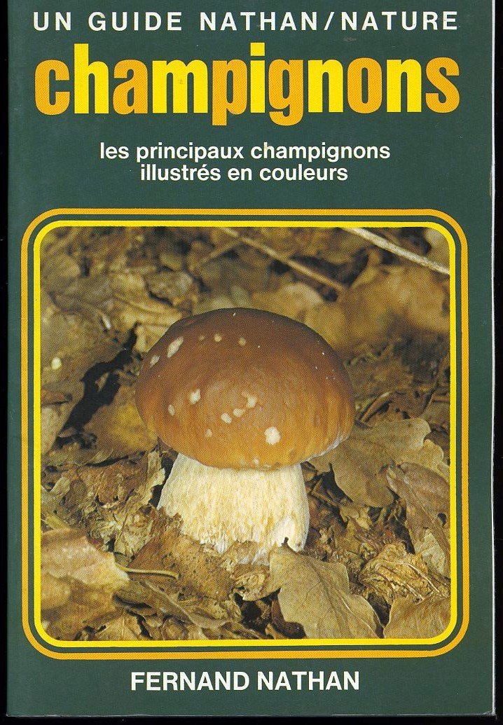 Principaux champignons 9782092842102