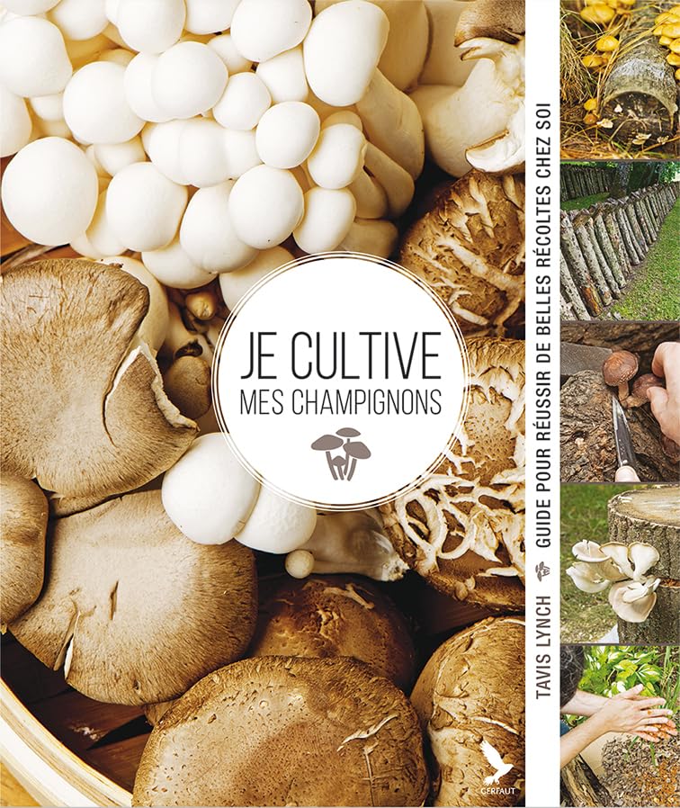 Je cultive mes champignons: Guide pour reussir de belles recoltes chez soi 9782351911990