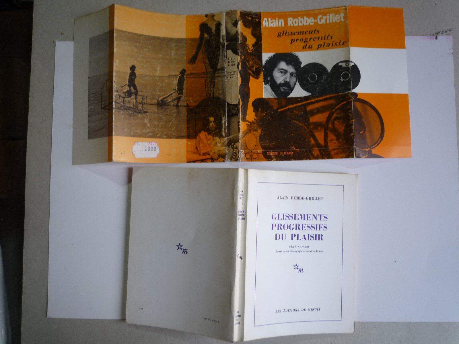 Glissements progressifs du plaisir 9782707300027