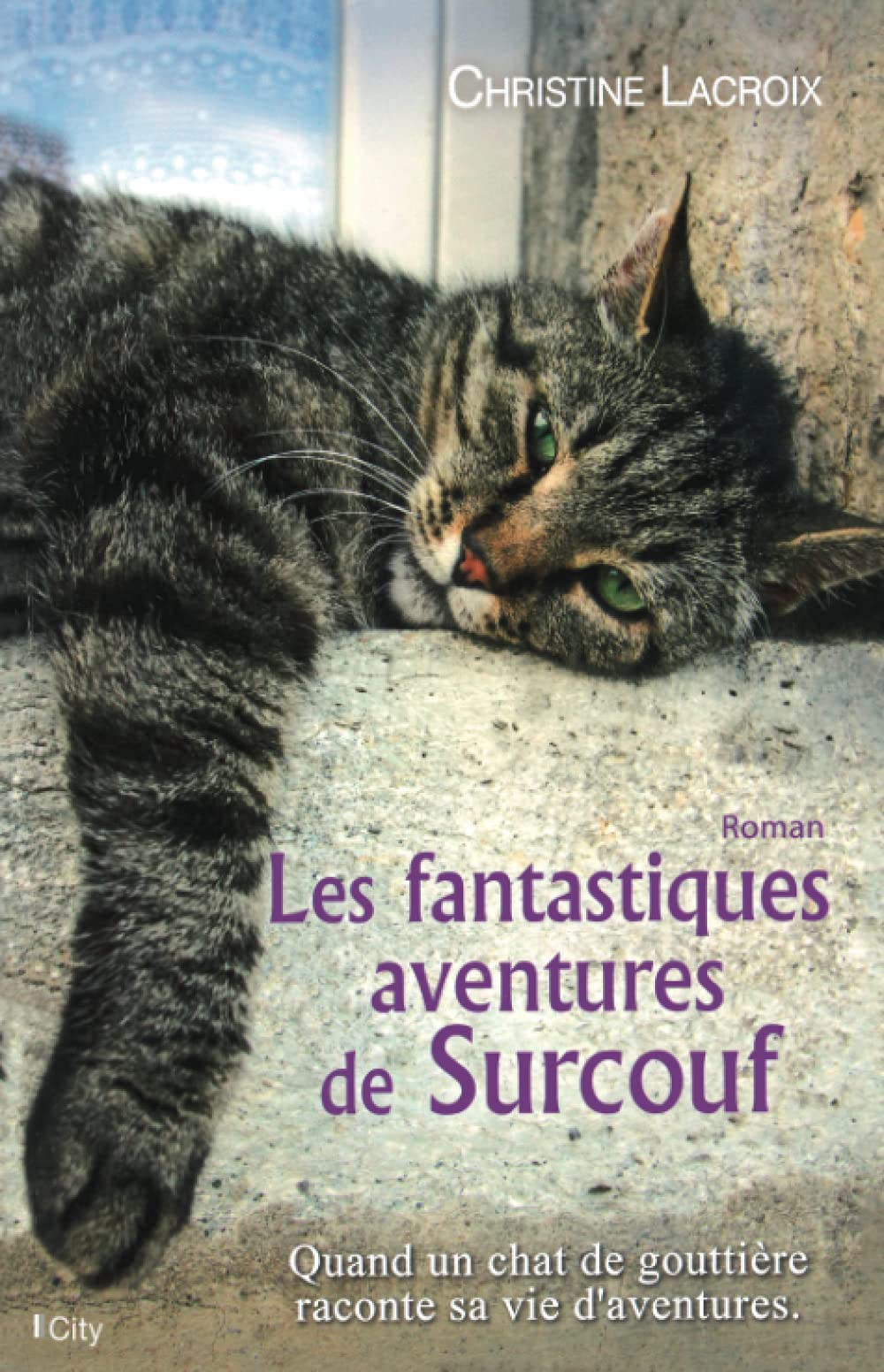 Les fantastiques aventures de surcouf le chat 9782824605531