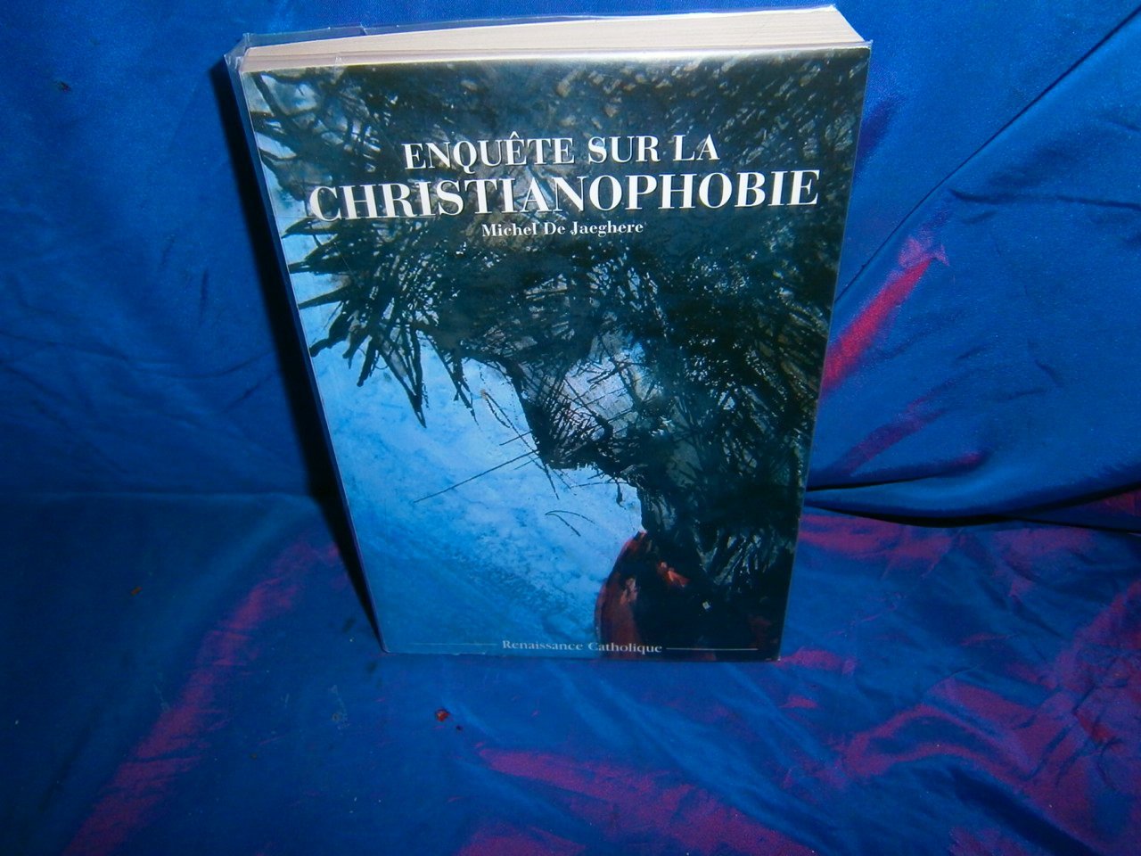 Enquête sur la christianophobie 9782952329538