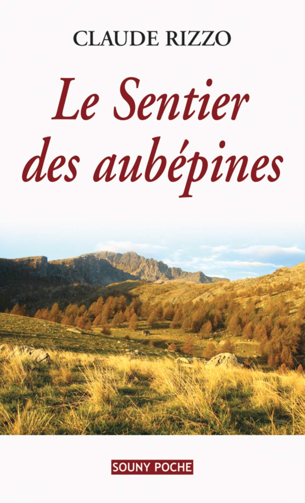 Le Sentier des Aubépines 9782848863474