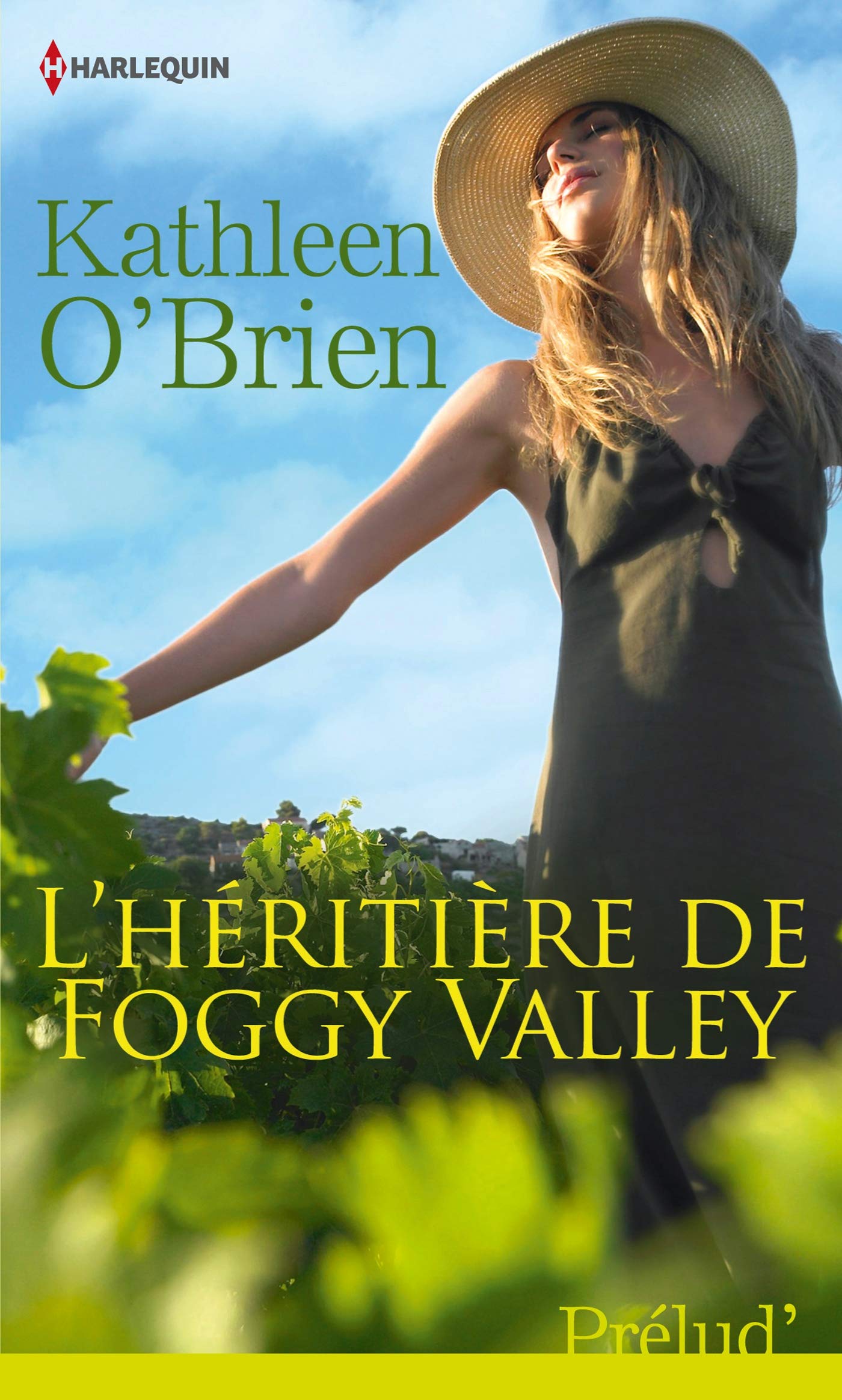 L'héritière de Foggy Valley 9782280283434