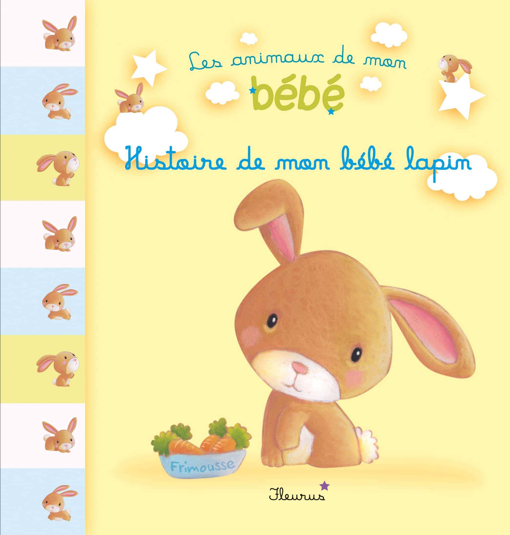 HISTOIRE DE MON BEBE LAPIN 9782215120261