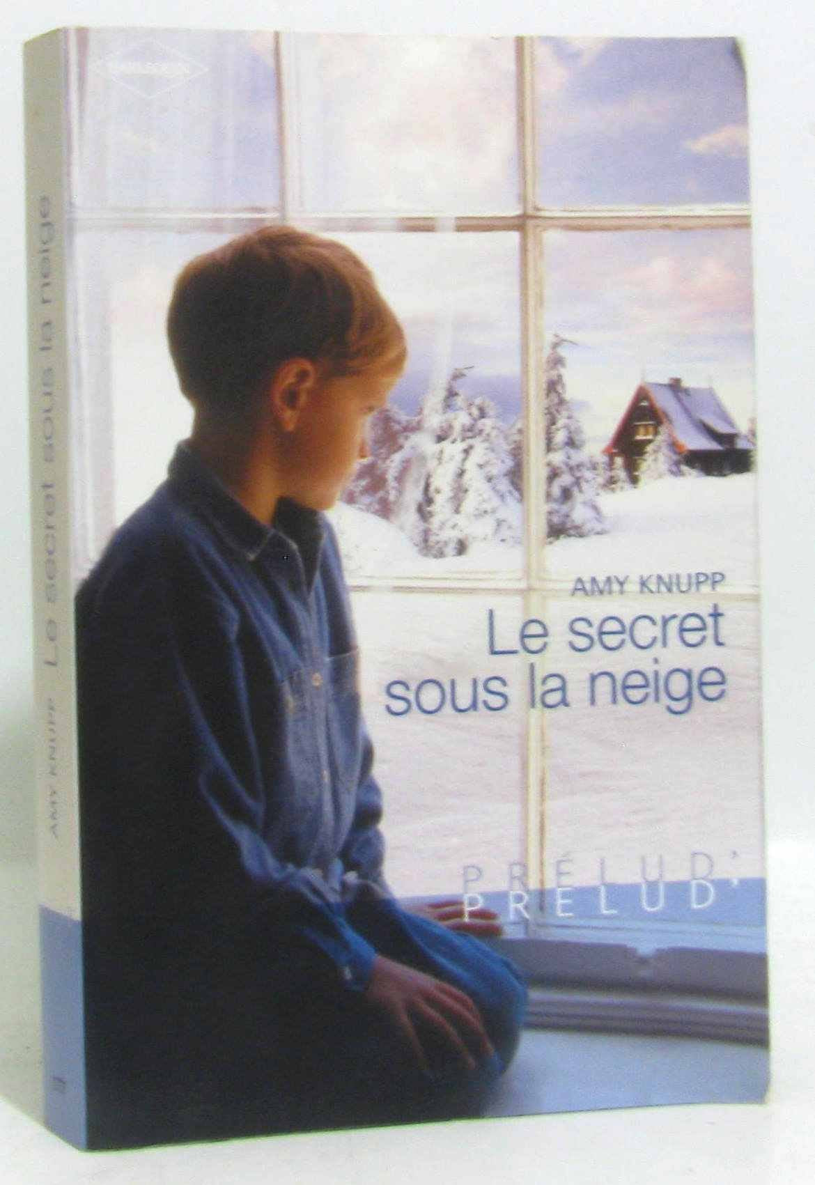Le secret sous la neige 9782280813181