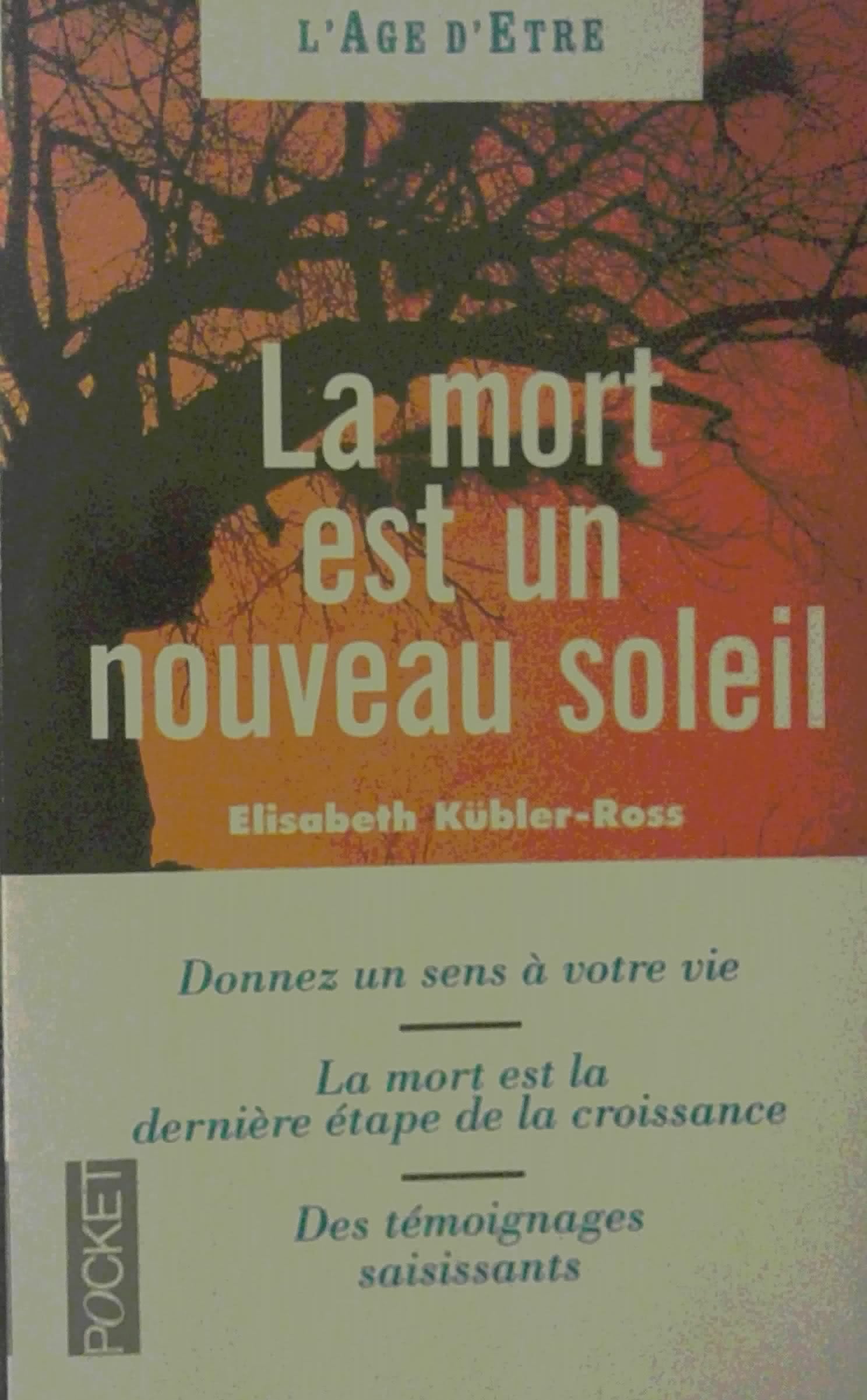 LA MORT EST UN NOUVEAU SOLEIL 9782266038096