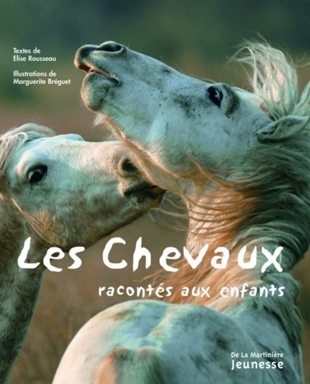 Les chevaux racontés aux enfants 9782732432939