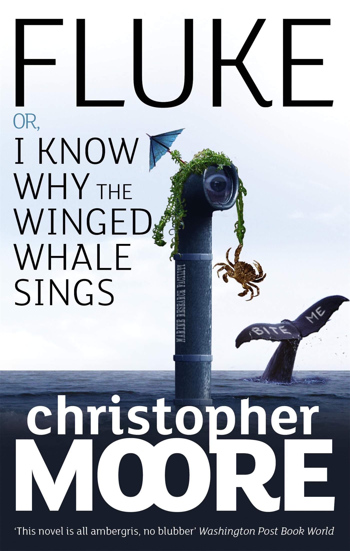 Fluke: Or, I Know Why the Winged Whale Sings 9781841496177