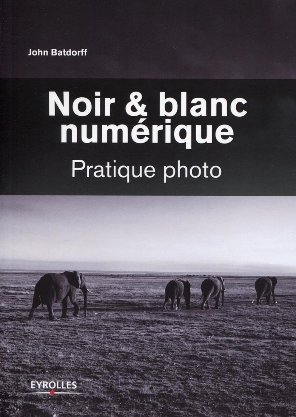Noir et blanc numérique: Pratique photo. 9782212133905