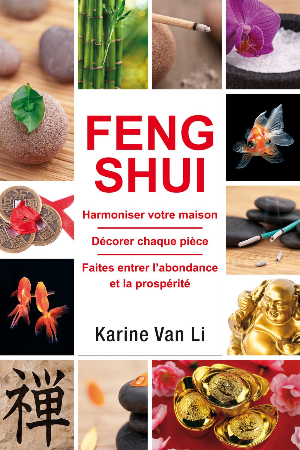 Feng-shui: Harmoniser votre maison - décorer chaque pièce - faites entrer l'abondance 9782848911168