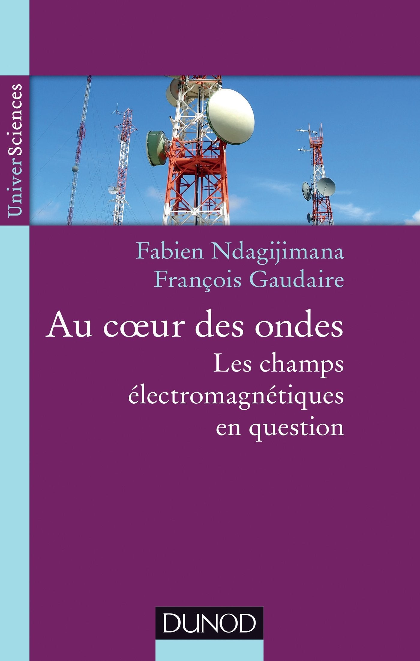 Au coeur des ondes - Les champs électromagnétiques en question: Les champs électromagnétiques en question 9782100585038