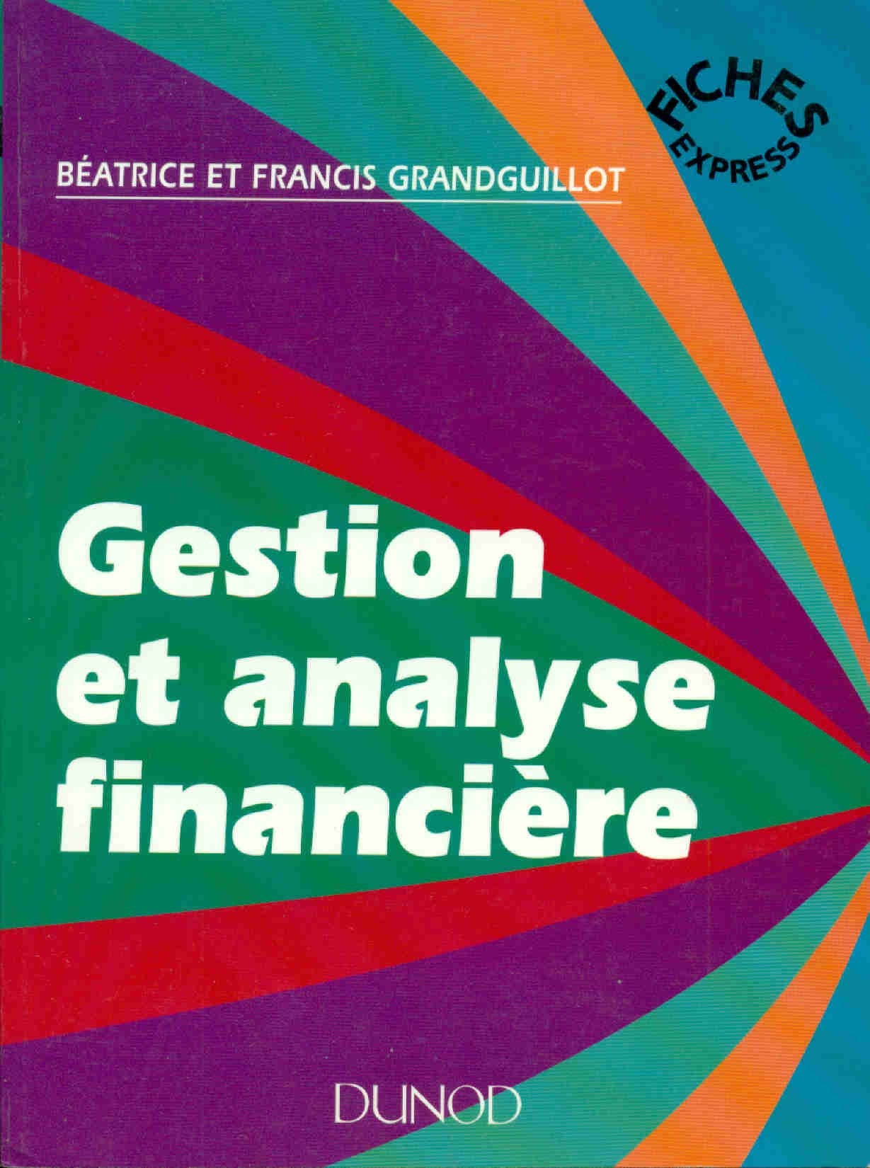 Gestion et analyse financière 9782100022779