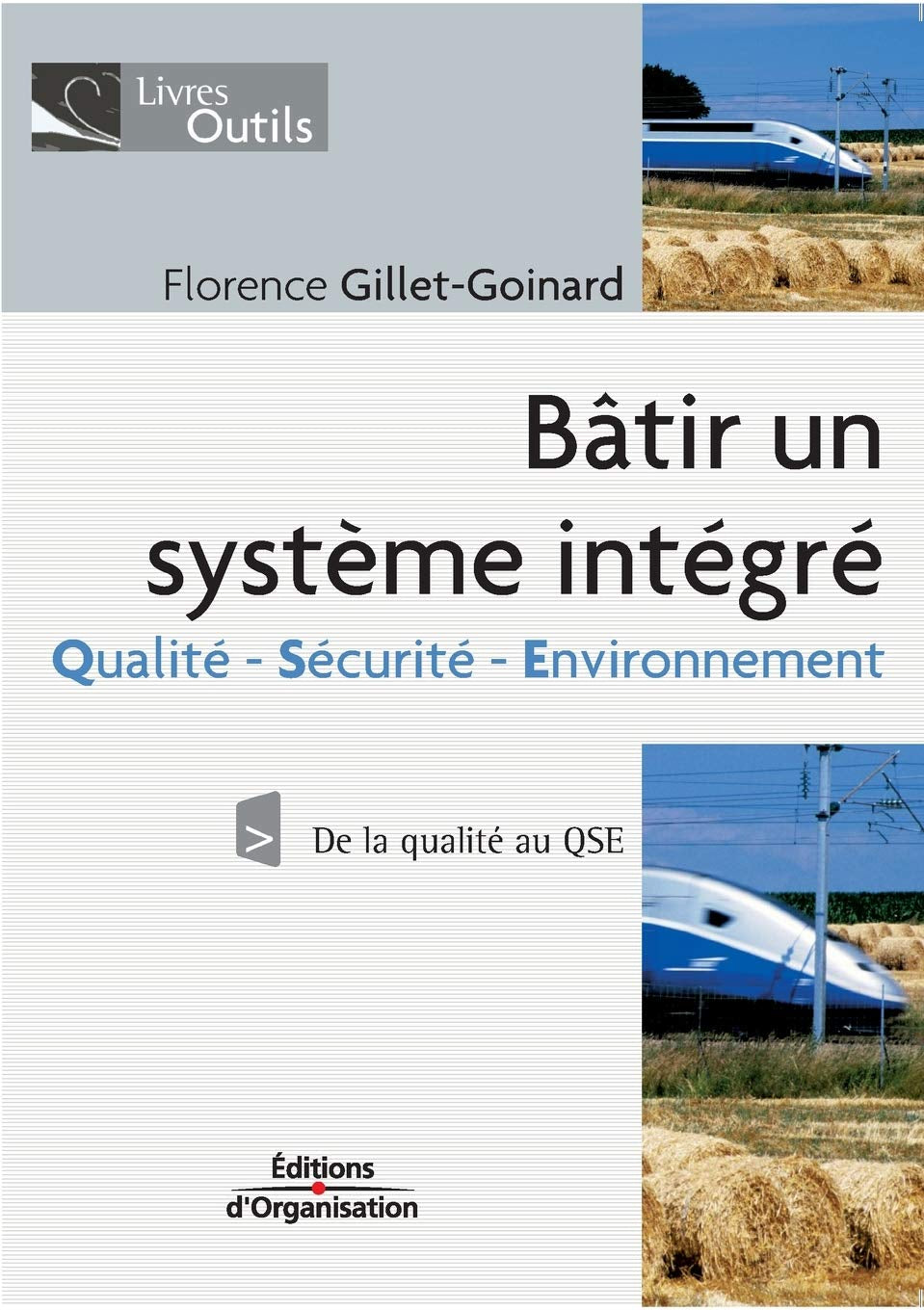 Bâtir un système intégré: Qualité - Sécurité - Environnement - De la qualité au QSE 9782708136519
