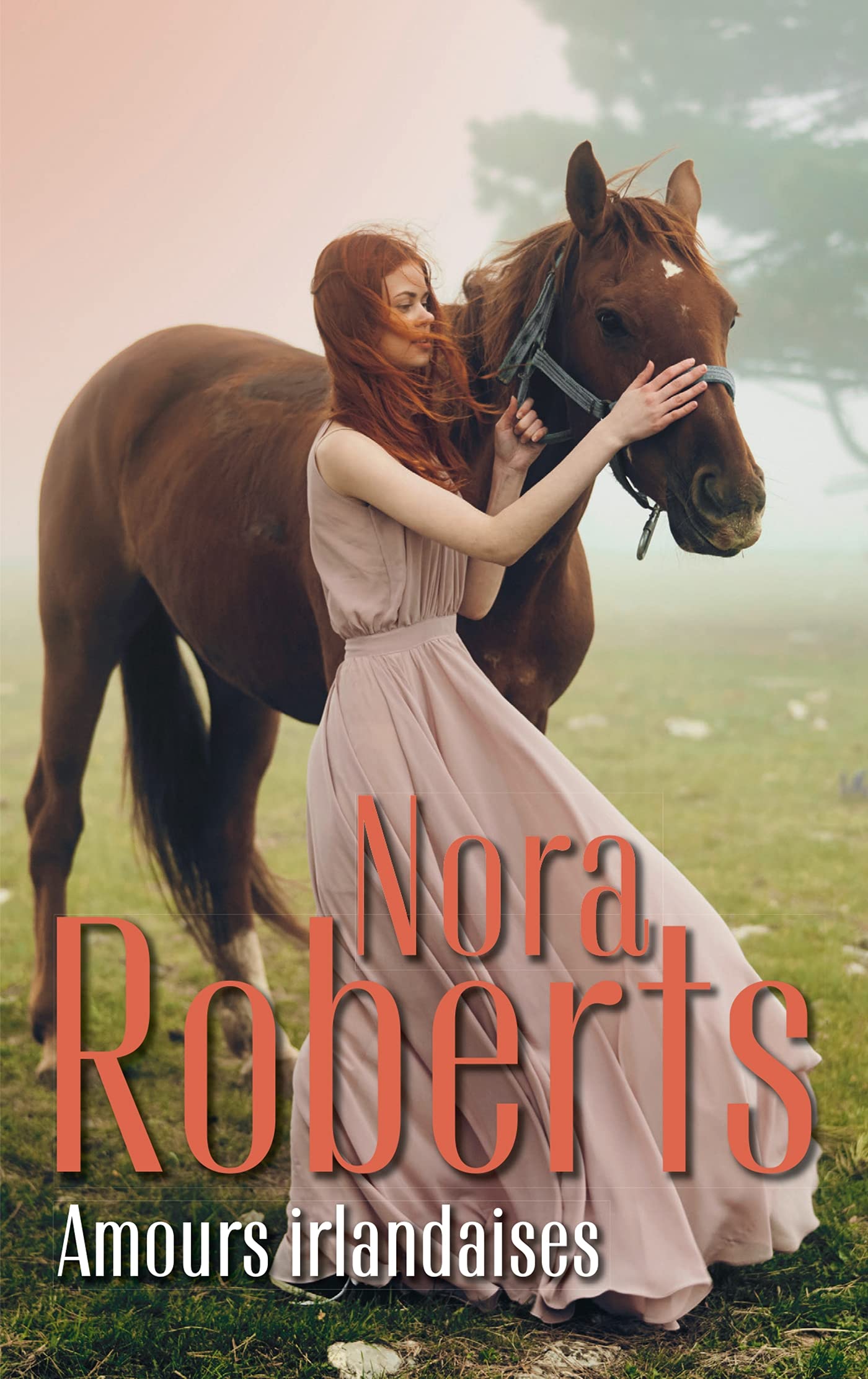 Amours Irlandaises: La belle d'Irlande - L'héritière d'Irlande 9782280456968