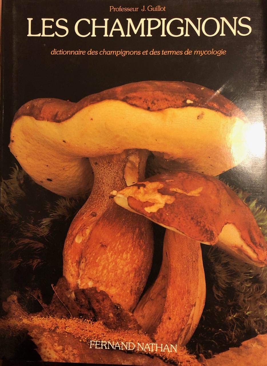 Dictionnaire des champignons et des termes de mycologie 9782092901168