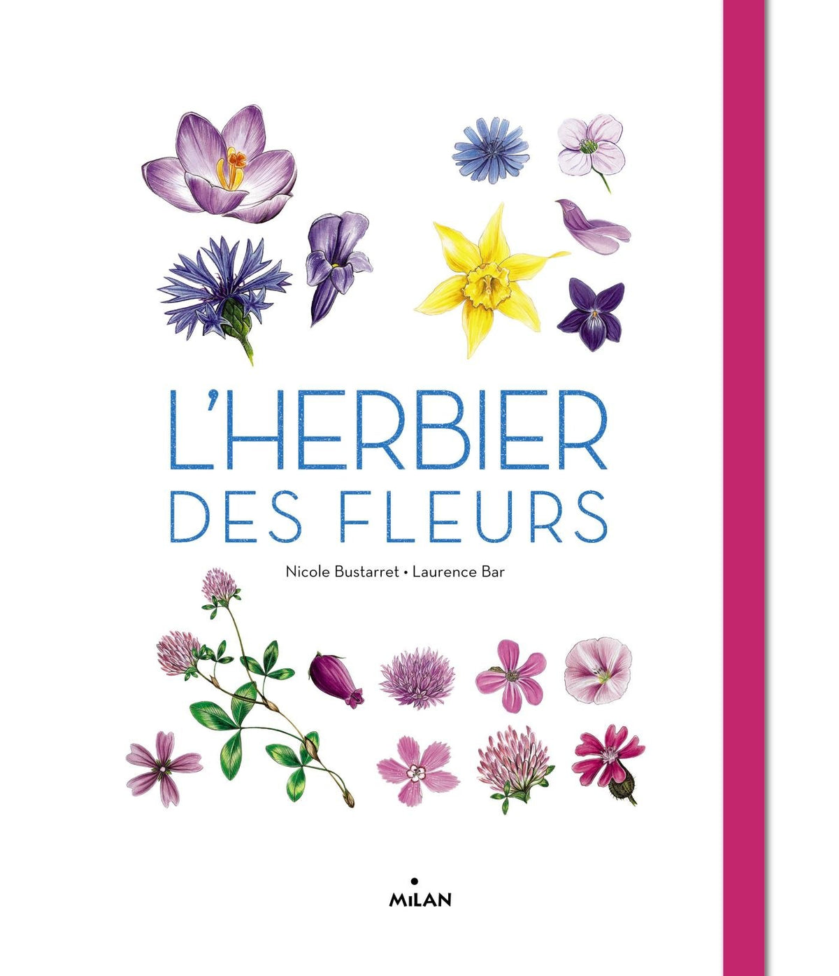 L'herbier des fleurs 9782745991355