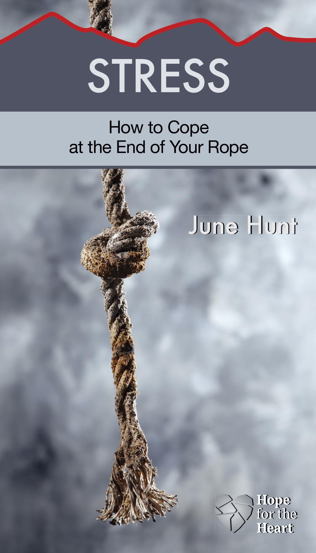 Stress: How to Cope at the End of Your Rope 9781596368996