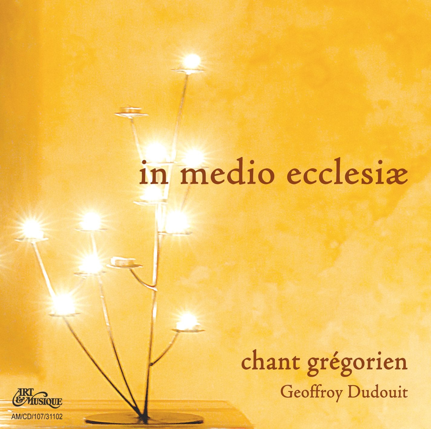 In Medio Ecclesiae 3347170311022