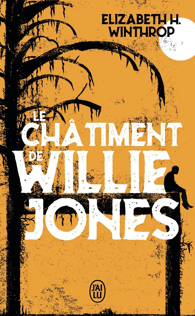 Le châtiment de Willie Jones 9782290226711