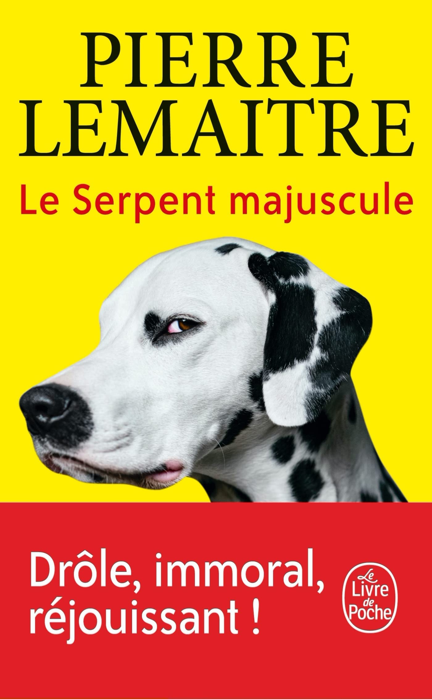 Le Serpent majuscule 9782253936909