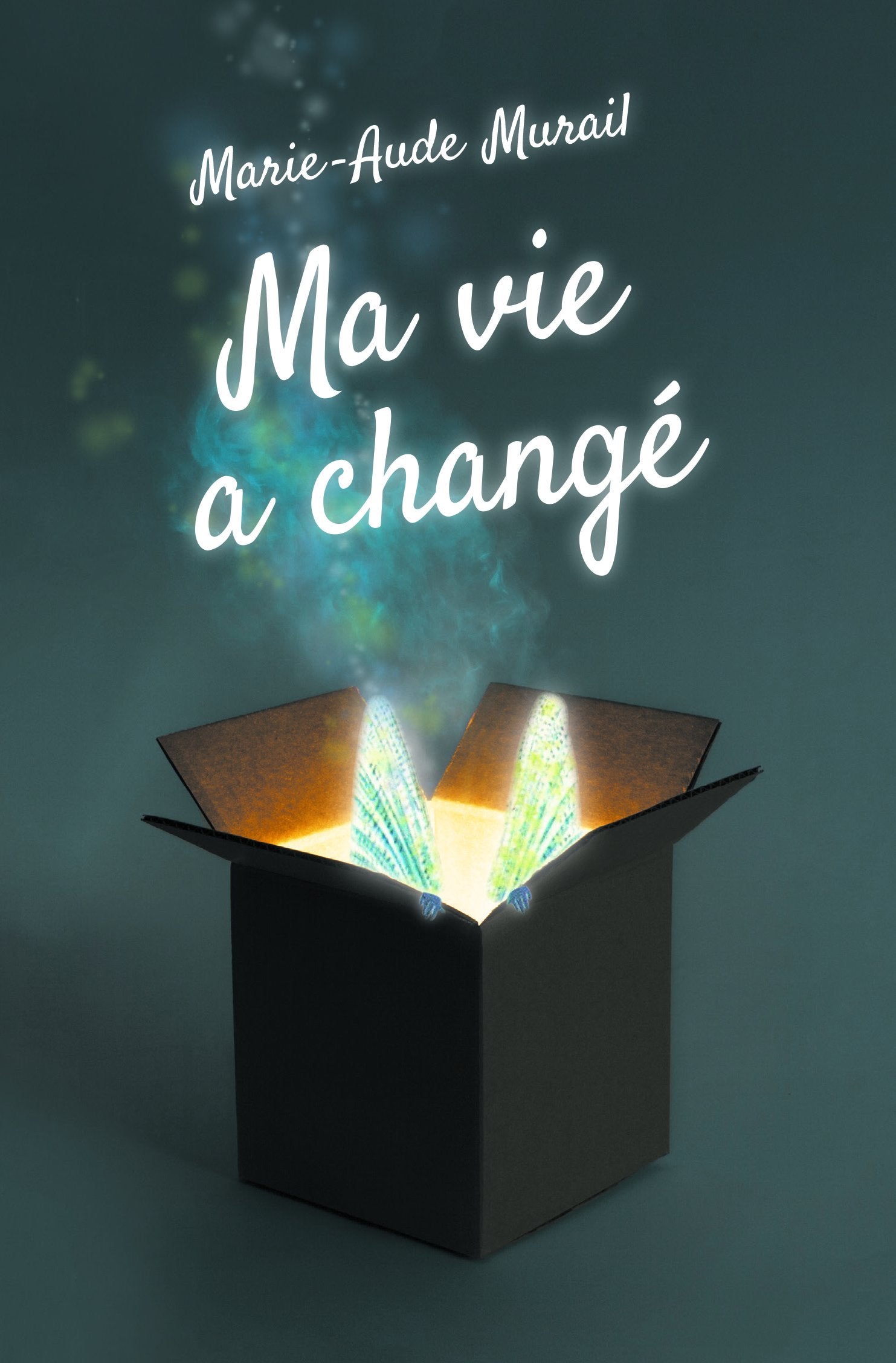 ma vie a change (poche) 9782211234917