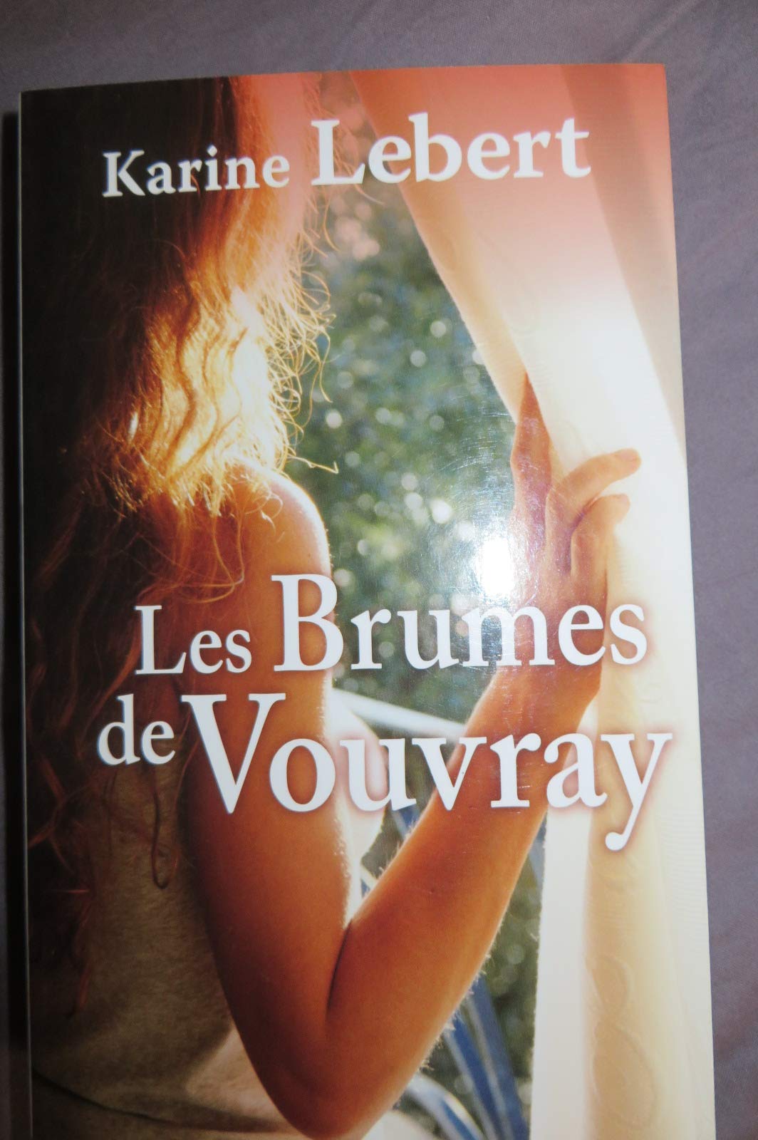 BRUMES DE VOUVRAY (LES) 9782812909757