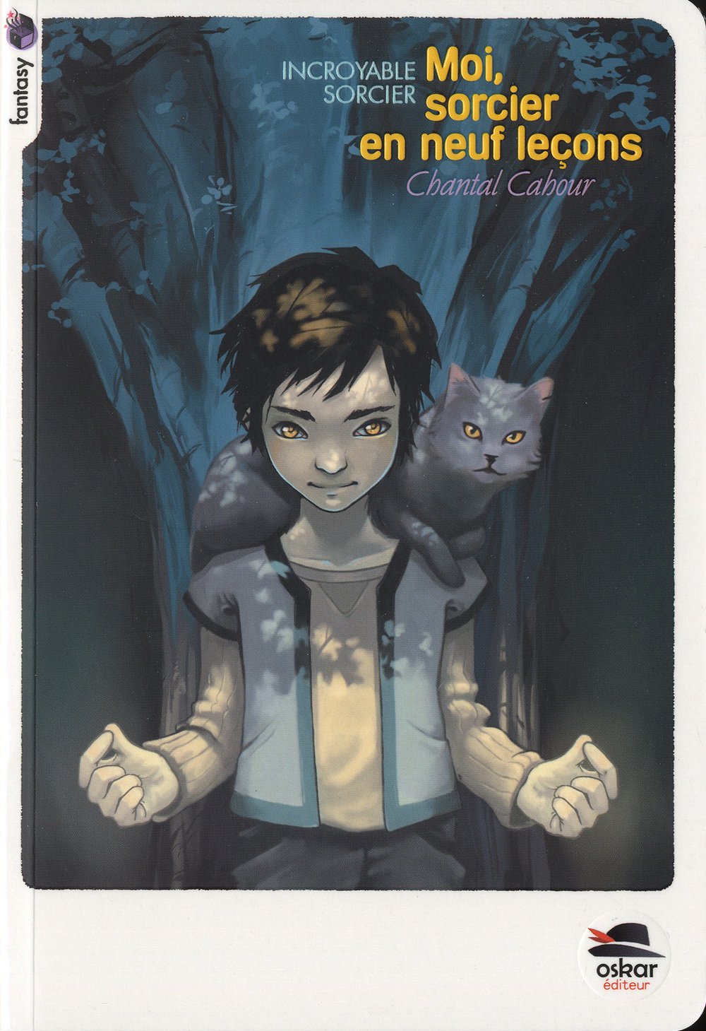 Moi sorcier en 9 leçons 9782350007755