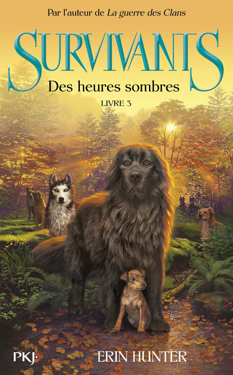 Survivants - tome 3 Des heures sombres (3) 9782266233361
