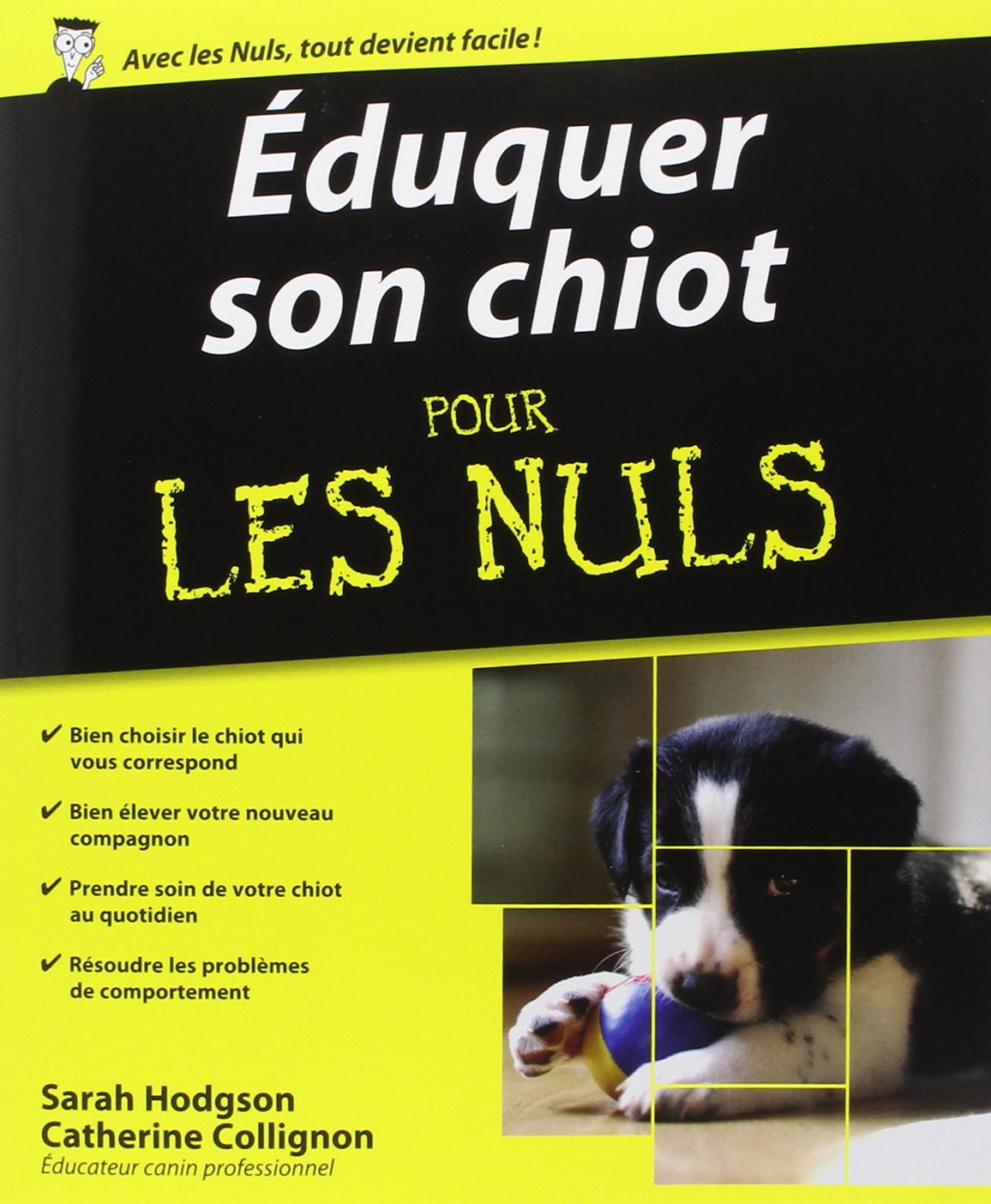Eduquer son chiot Pour les Nuls 9782754003728