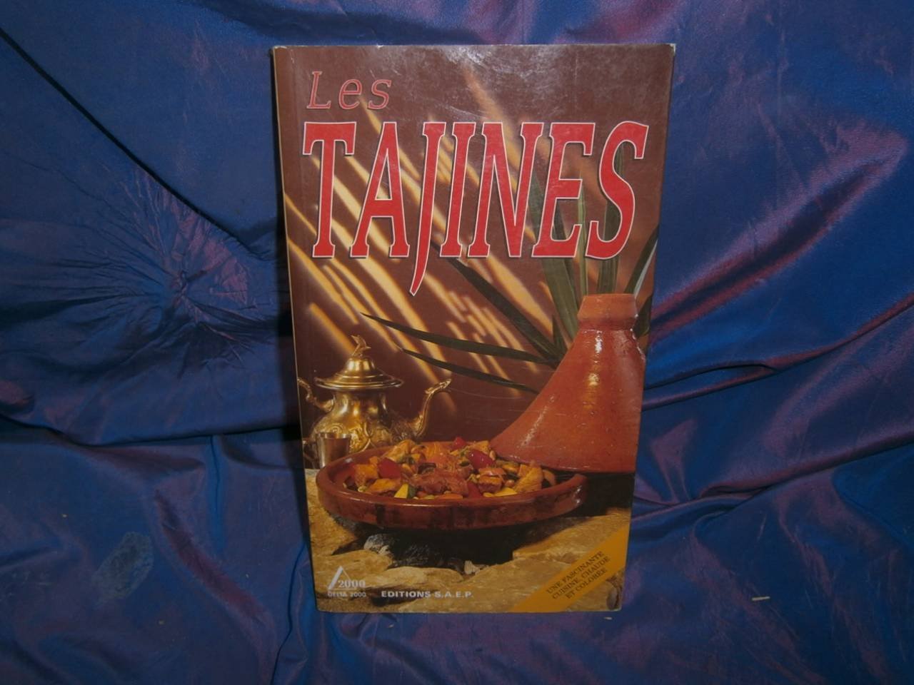 Les tajines 9782737222498