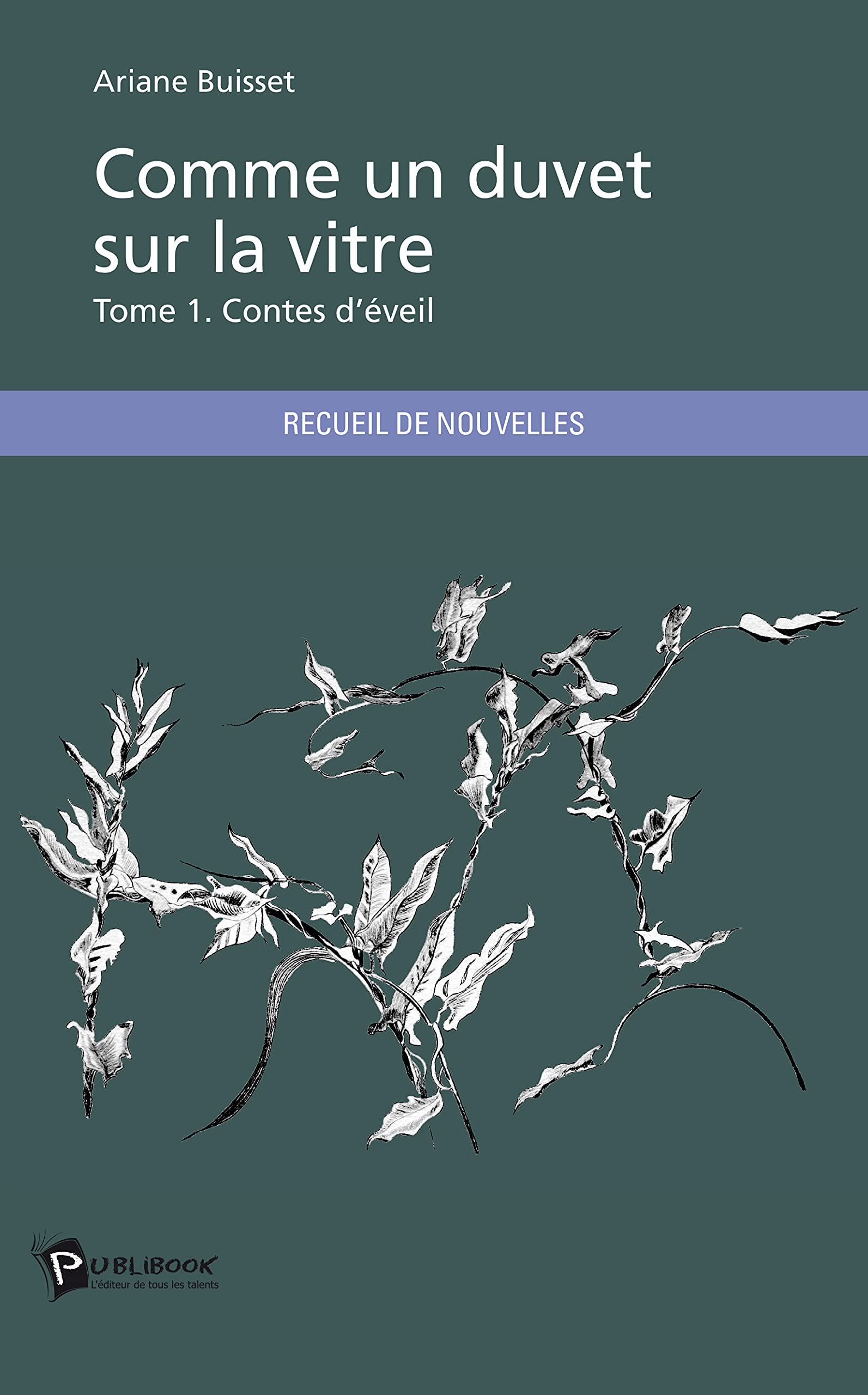 Comme un duvet sur la vitre 9782342040654