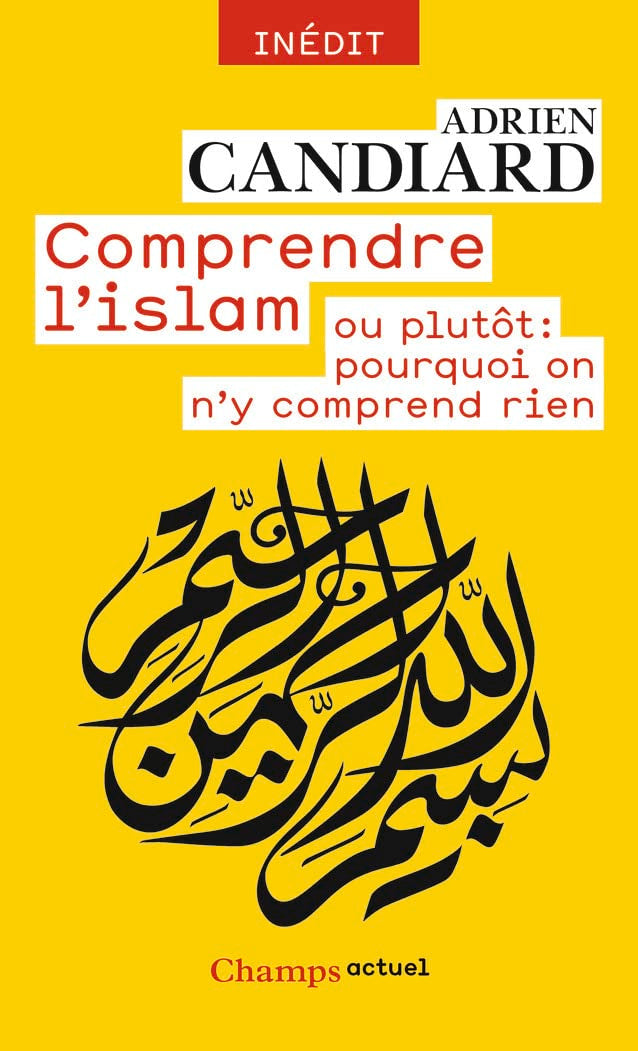 Comprendre l'Islam - ou plutôt : pourquoi on n'y comprend rien 9782081386587