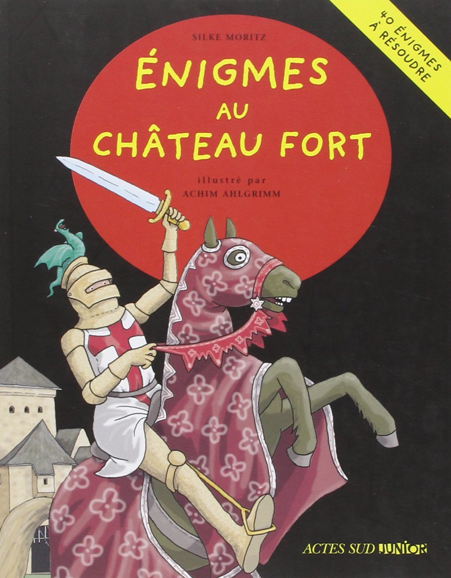 Enigmes au château fort 9782742794317