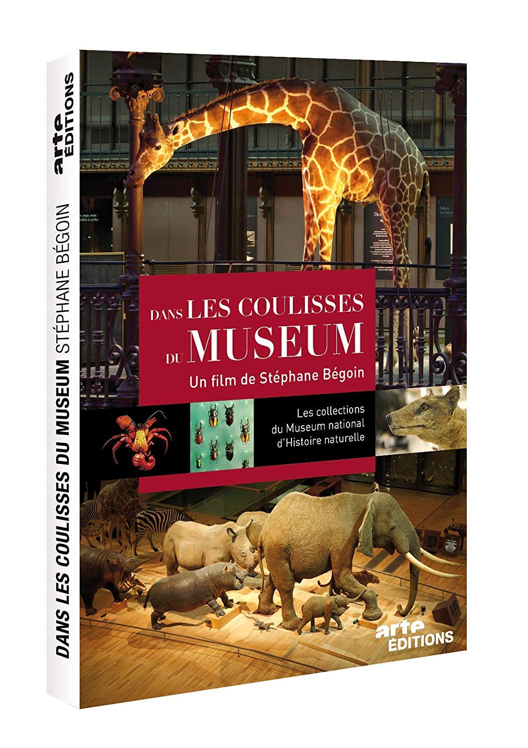 Dans les coulisses du muséum 3453270084534